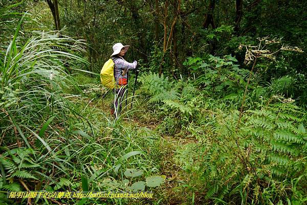 P1890355.jpg P1890355.jpg