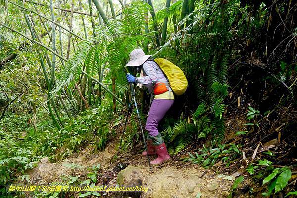 P1890362.jpg P1890362.jpg