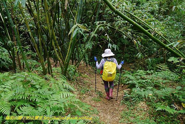 P1890368.jpg P1890368.jpg