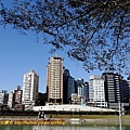 P1910425.jpg
