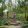 P1920578.jpg