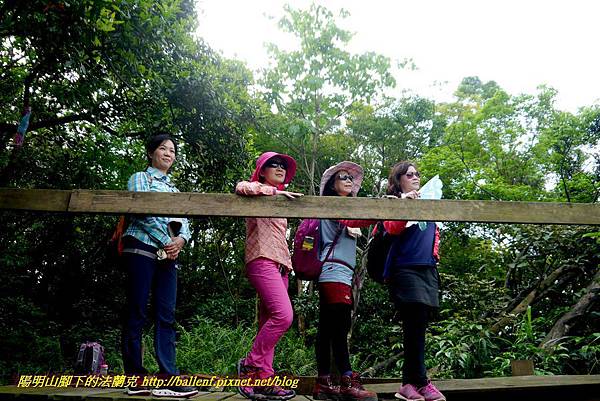 P1960292-1.jpg P1960292-1.jpg