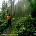 P1960830..jpg
