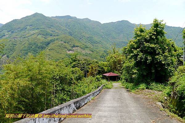 P1960977.jpg P1960977.jpg