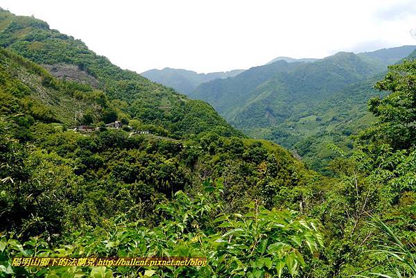 P1960978.jpg P1960978.jpg