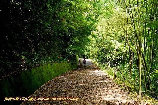 P1960982.jpg P1960982.jpg