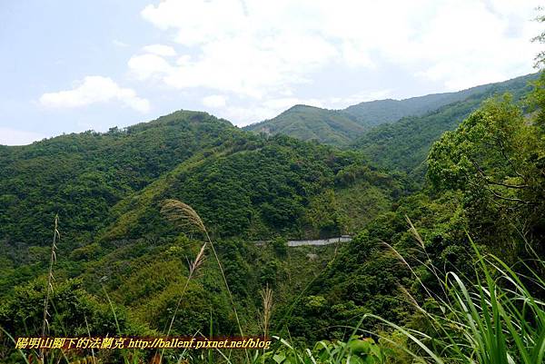 P1960984.jpg P1960984.jpg