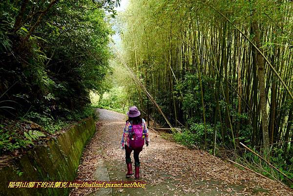 P1960985.jpg P1960985.jpg