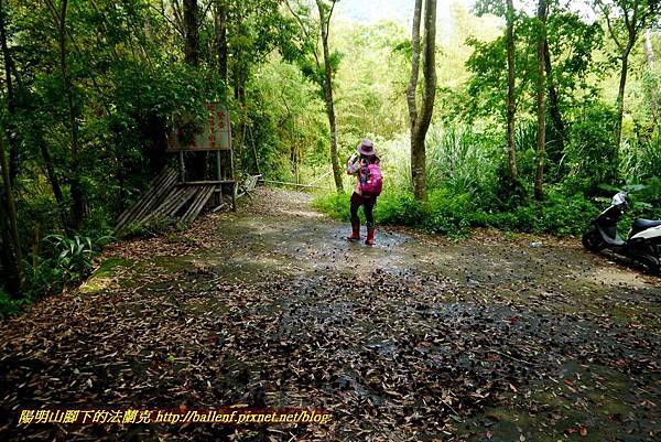 P1960986.jpg P1960986.jpg