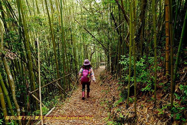 P1960988.jpg P1960988.jpg