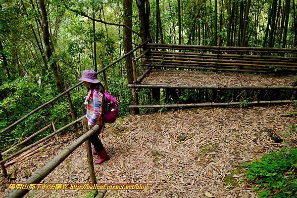 P1960989.jpg P1960989.jpg