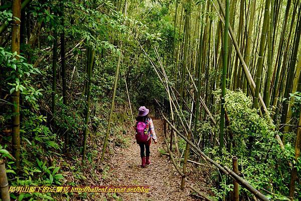 P1960991.jpg P1960991.jpg