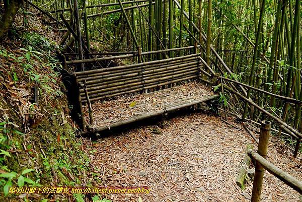 P1960992.jpg P1960992.jpg