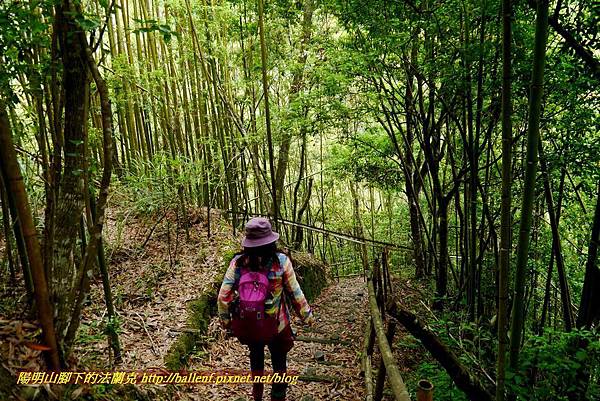 P1960995.jpg P1960995.jpg