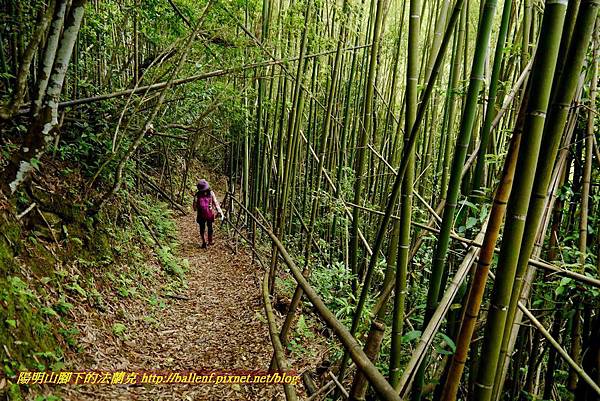 P1960996.jpg P1960996.jpg