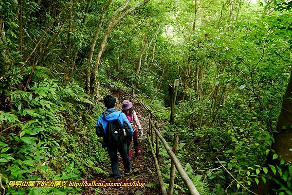 P1960997.jpg P1960997.jpg