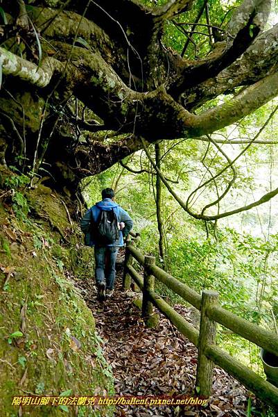 P1970002.jpg P1970002.jpg