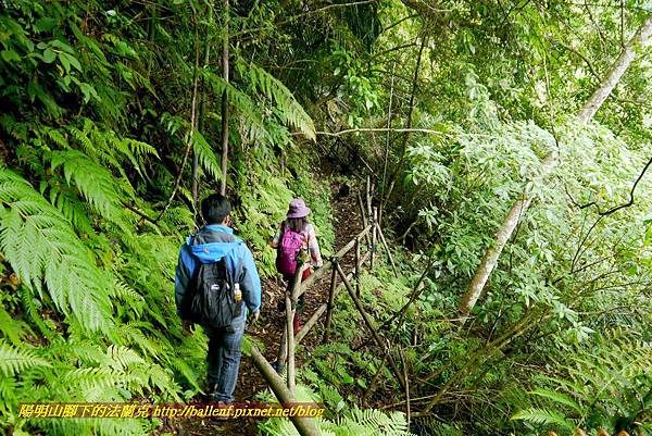 P1970004.jpg P1970004.jpg