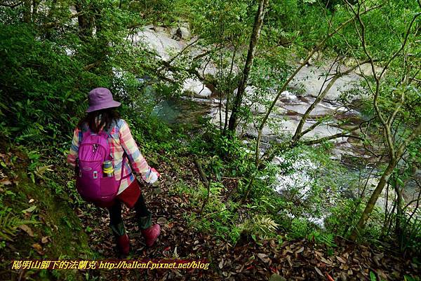 P1970008.jpg P1970008.jpg