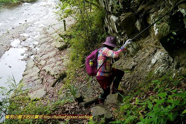 P1970009.jpg P1970009.jpg