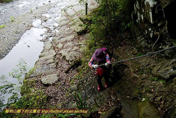 P1970010.jpg P1970010.jpg