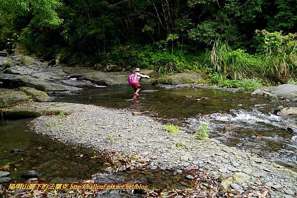 P1970016.jpg P1970016.jpg