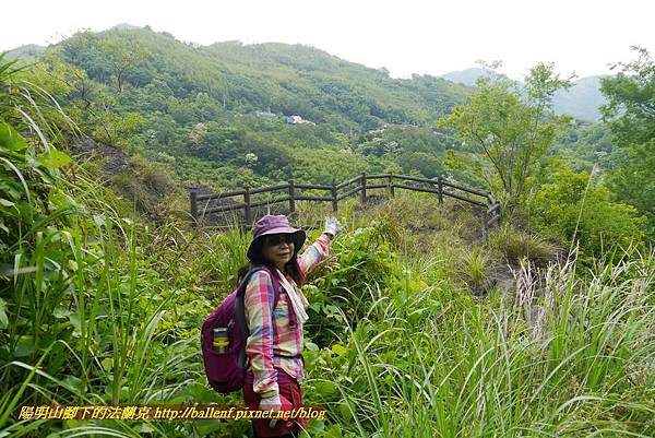 P1970017.jpg P1970017.jpg