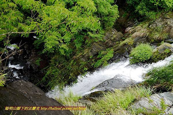 P1970019.jpg P1970019.jpg