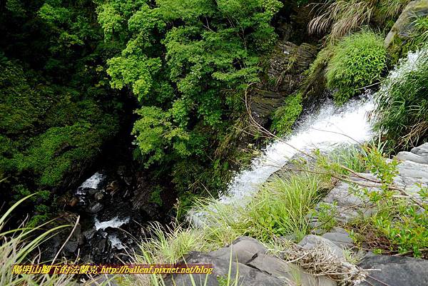 P1970020.jpg P1970020.jpg