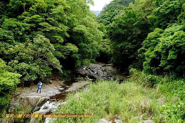 P1970025.jpg P1970025.jpg