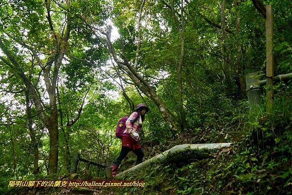 P1970045.jpg P1970045.jpg