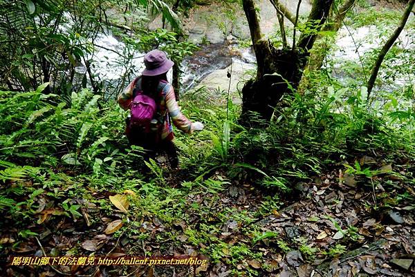 P1970051.jpg P1970051.jpg