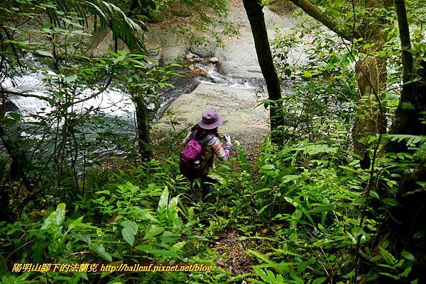 P1970052.jpg P1970052.jpg