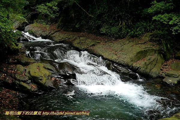 P1970053.jpg P1970053.jpg