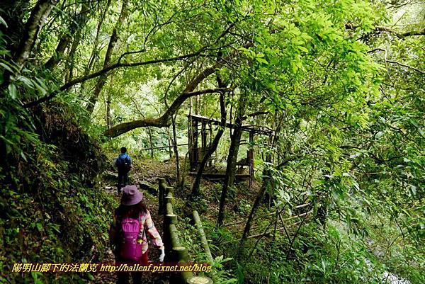 P1970057.jpg P1970057.jpg