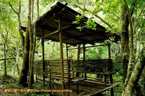 P1970058.jpg P1970058.jpg