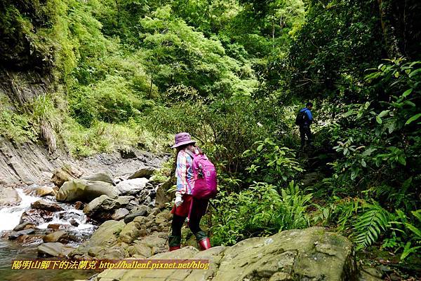 P1970066.jpg P1970066.jpg