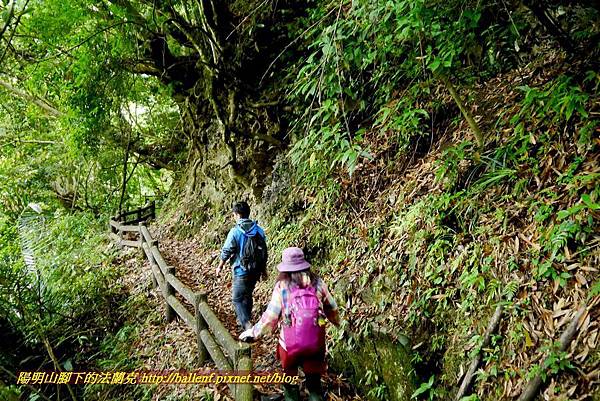 P1970095.jpg P1970095.jpg