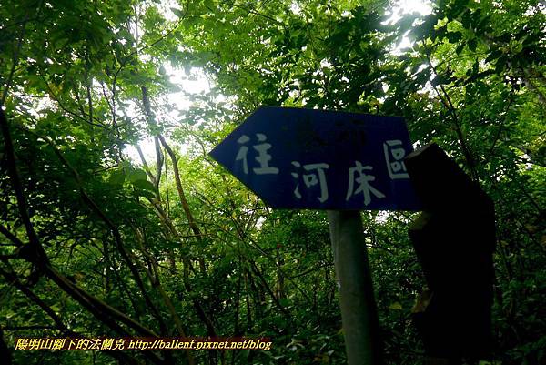 P1970096.jpg P1970096.jpg