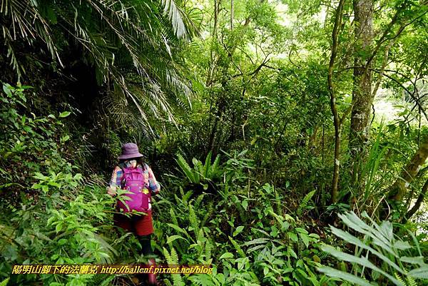 P1970099.jpg P1970099.jpg