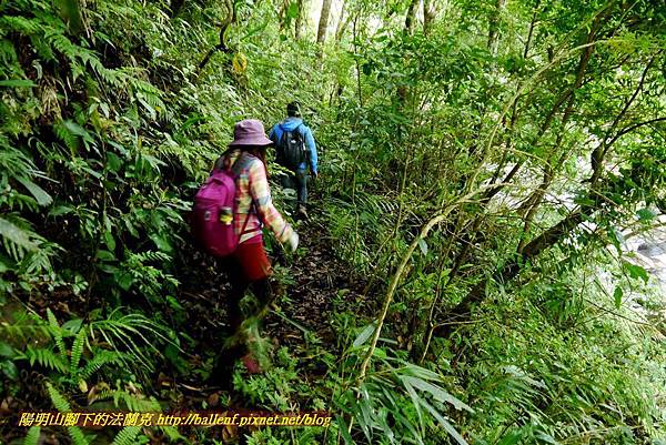 P1970100.jpg P1970100.jpg