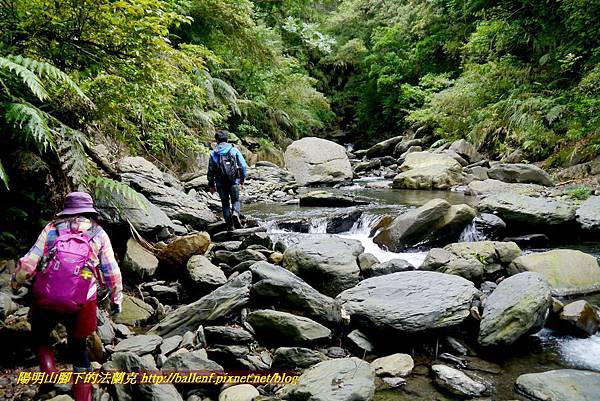 P1970101.jpg P1970101.jpg