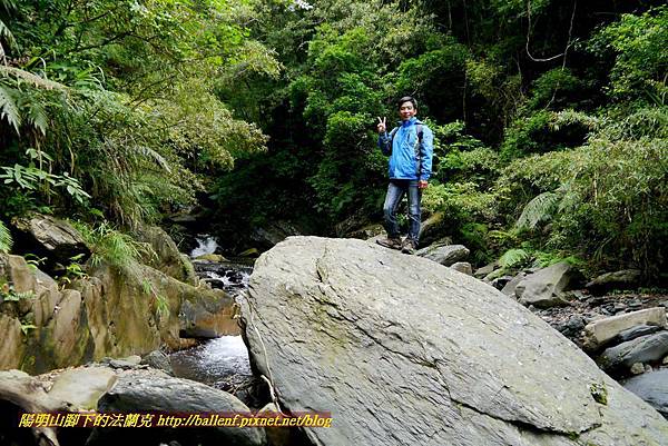 P1970102.jpg P1970102.jpg