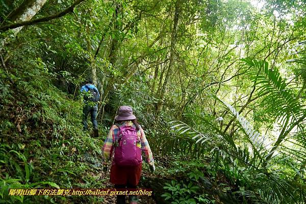 P1970106.jpg P1970106.jpg