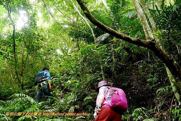 P1970108.jpg P1970108.jpg