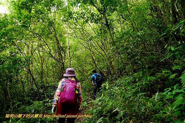 P1970109.jpg P1970109.jpg