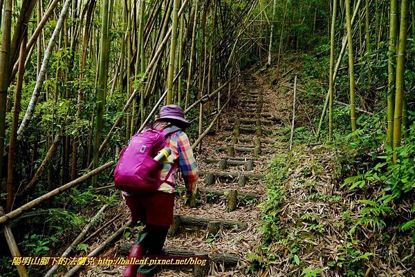 P1970114.jpg P1970114.jpg