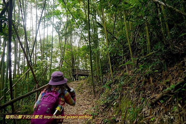 P1970115.jpg P1970115.jpg