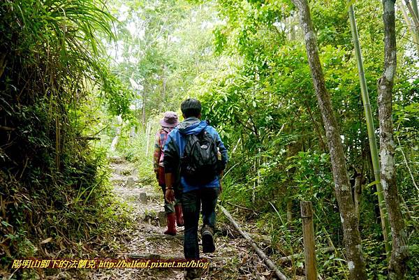 P1970116.jpg P1970116.jpg