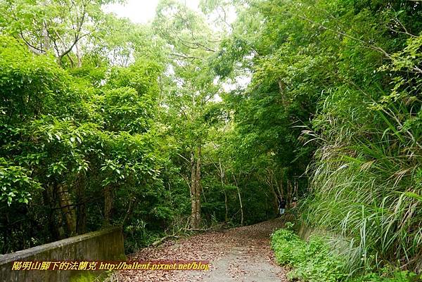 P1970120.jpg P1970120.jpg